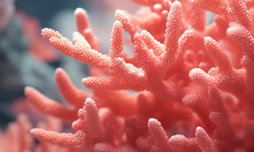 coral